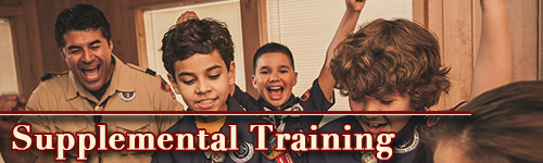 supplemental training