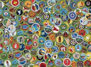 Merit Badge Days