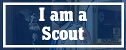 Scout